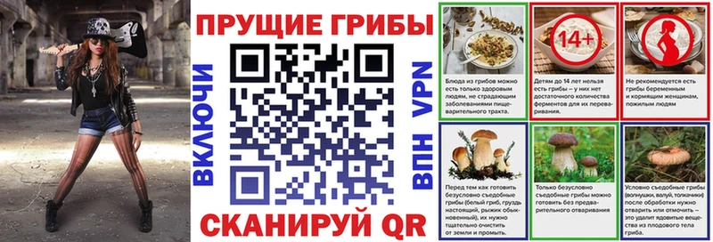 Галлюциногенные грибы мицелий  продажа наркотиков  Лосино-Петровский 